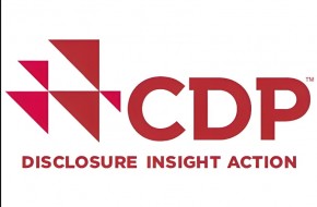 2025年CDP碳披露：企业转型的绿色驱动力！