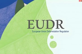 欧盟EUDR认证全面解读:2025年最新指南与合规策略