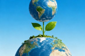 EUDR强制实施在即,您的FSC认证还够用吗?