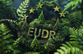 易碳科技解读 | 欧盟《零毁林法案》(EUDR)合规指南